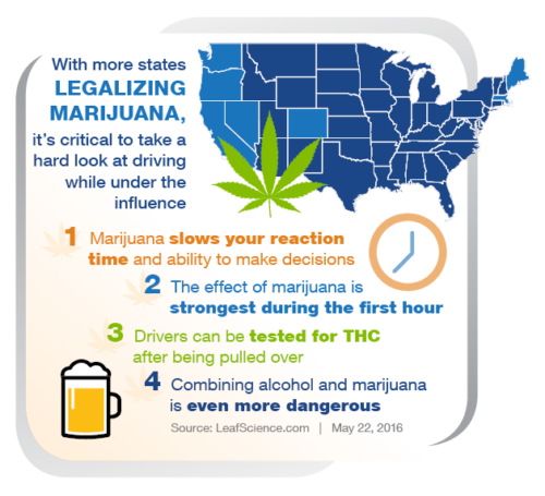 Marijuana Legalization Infographic